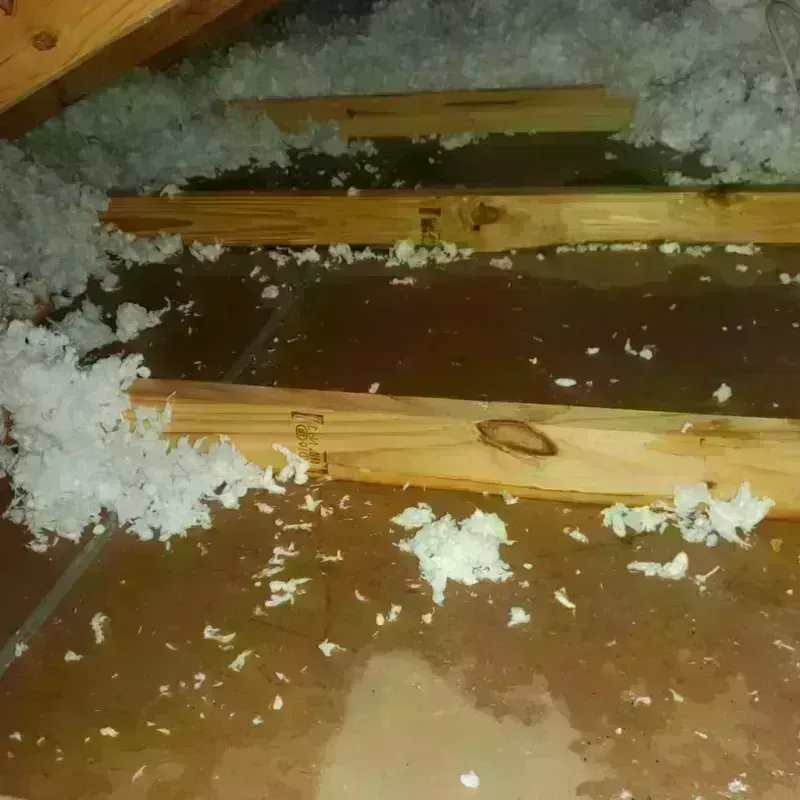 Attic Water Damage in Croswell, MI